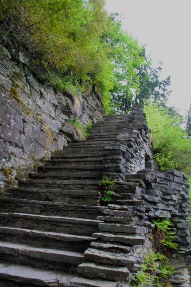 section of 215 stairs at robert treman copy