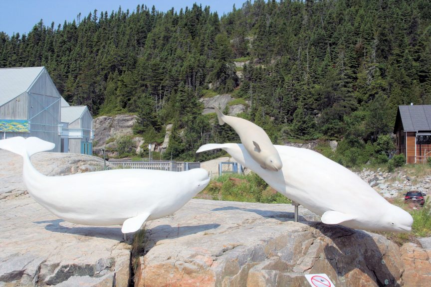 tadoussac museum