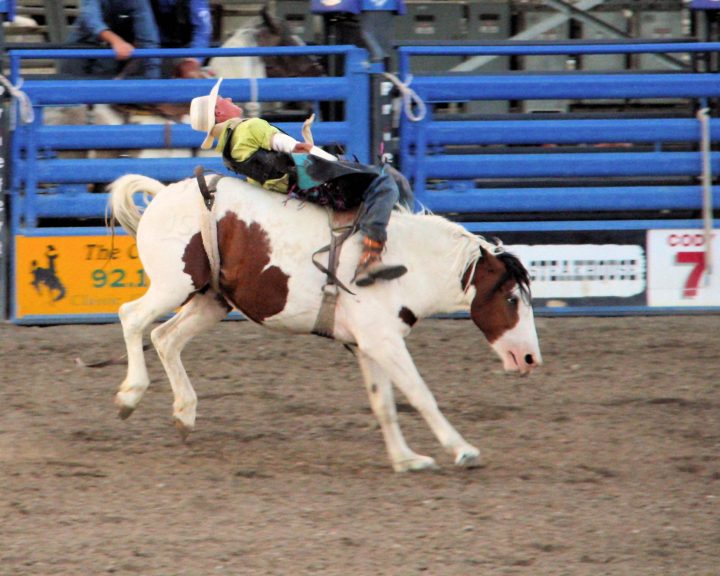 Cody Nite Rodeo