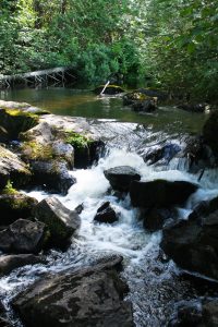 Lake Superior Provincial Park