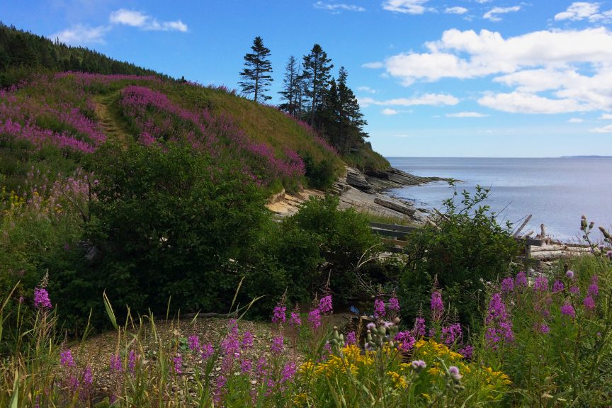 Forillon National Park