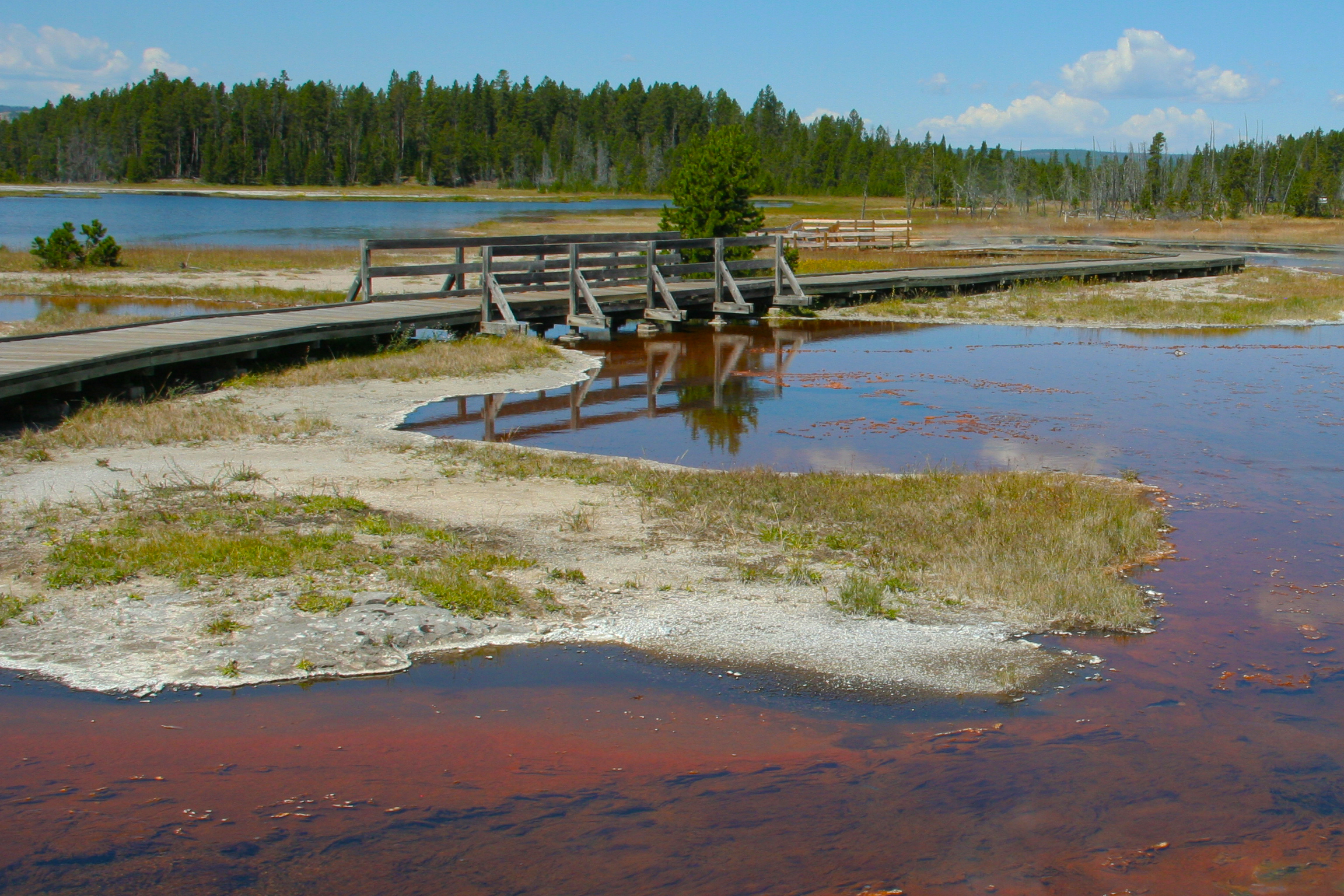 Yellowstone National Park