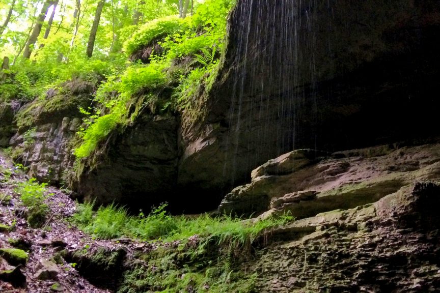 Mammoth Cave National Park