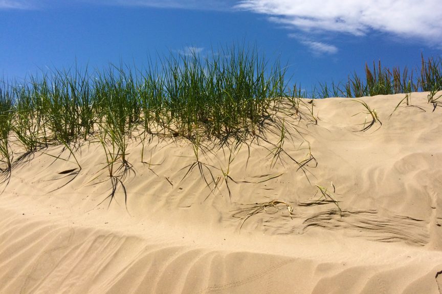 Sandbanks provincial park