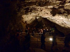 Mammoth Cave National Park