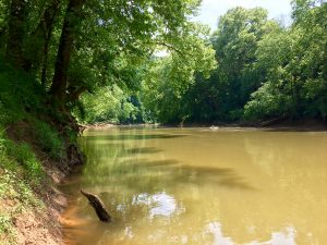 Mammoth Cave National Park