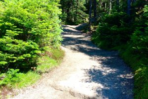 Franconia Notch State Park