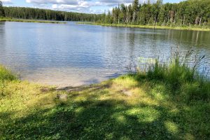 Kettle Lakes Provincial Park