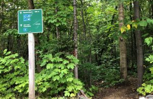 La Mauricie National Park