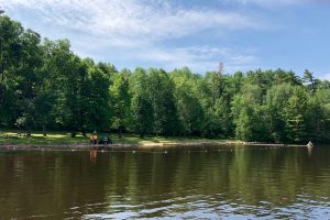 Driftwood Provincial Park