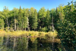 Voyageur Provincial Park