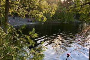 Finlayson Point Provincial Park