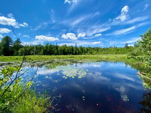 Mikisew Provincial Park