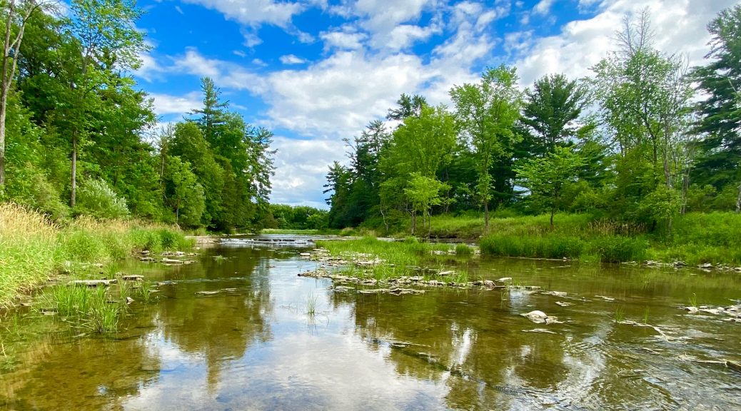 Fitzroy Provincial Park