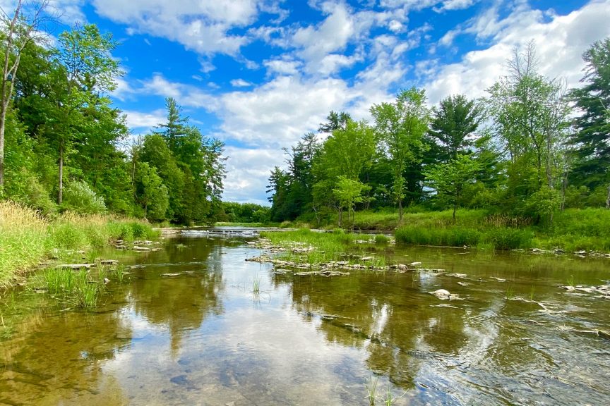 Fitzroy Provincial Park