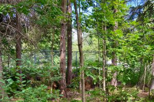 Rideau River Provincial Park