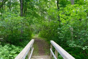 Rideau River Provincial Park