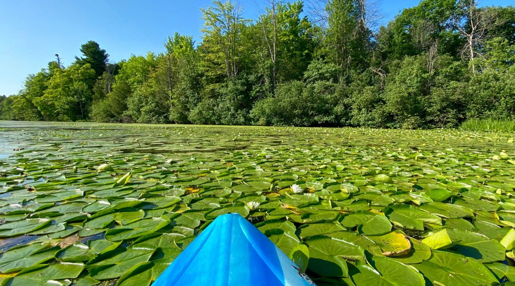 Rideau River Provincial Park