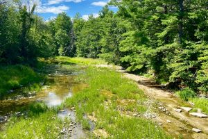 Fitzroy Provincial Park