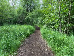 Fitzroy Provincial Park