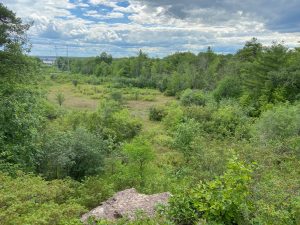 Fitzroy Provincial Park