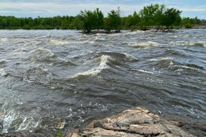 Fitzroy Provincial Park