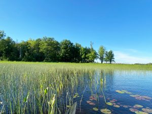 Fitzroy Provincial Park