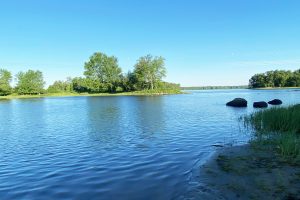 Fitzroy Provincial Park