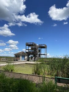 Point Pelee