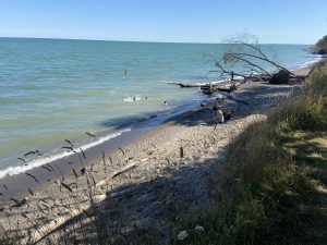 Wheatlety Provincial Park