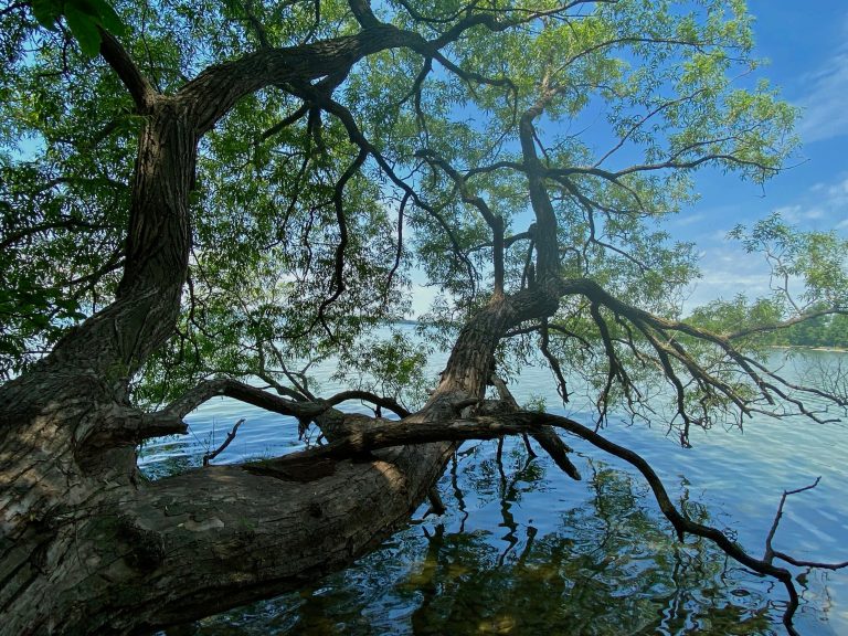 McRae Point Provincial Park