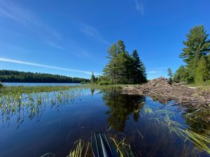 Marten River Provincial Park