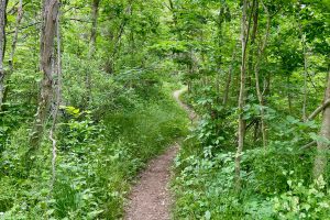 Turkey Point Provincial Park