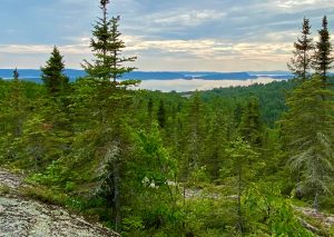 Rainbow Falls Provincial Park