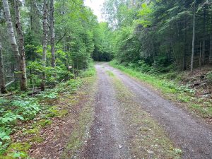 Rainbow Falls Provincial Park