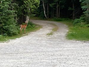 Aaron Provincial Park