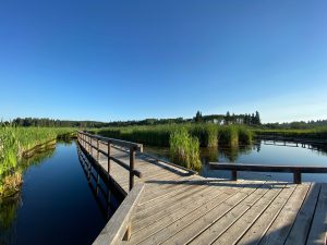 Riding Mountain National Park