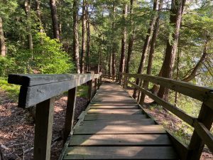 Saugeen Bluffs Conservation Area