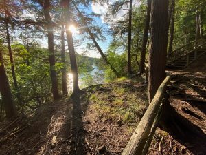 Saugeen Bluffs Conservation Area