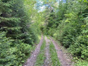 Marten River Provincial Park