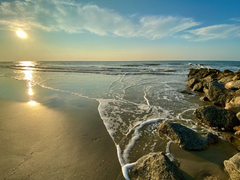 Edisto Beach State Park