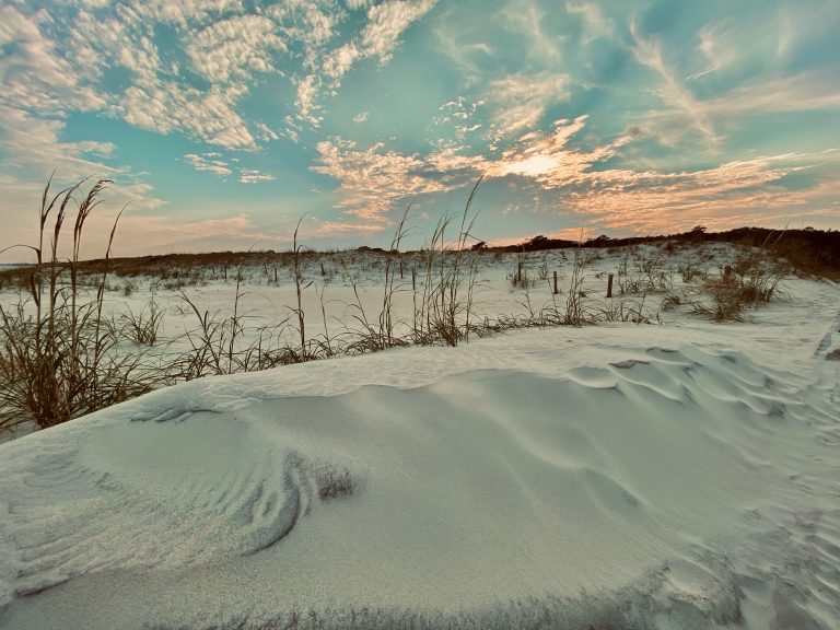 Huntington Beach State Park