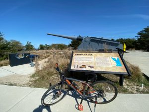 Cape Henlopen State Park