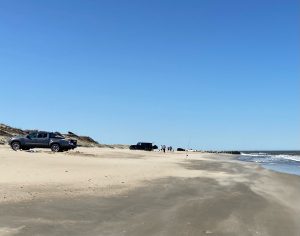 Cape Henlopen State Park