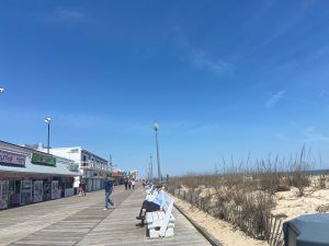 Cape Henlopen State Park