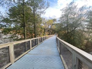 Cape Henlopen State Park