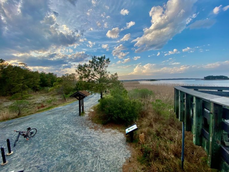 Cape Henlopen State Park