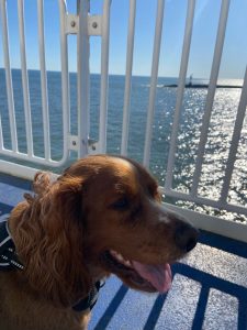 Cape Henlopen State Park