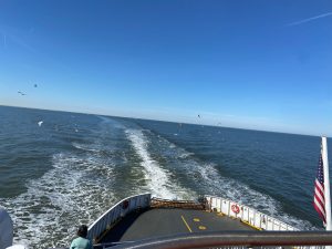 Cape Henlopen State Park