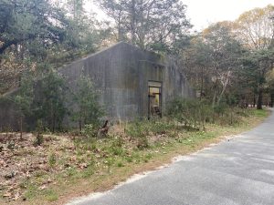 Cape Henlopen State Park